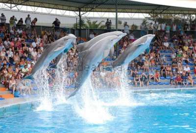 ZOOMARINE RIPARTE CON MOLTE NOVIT&Agrave; E TANTE ASSUNZIONI