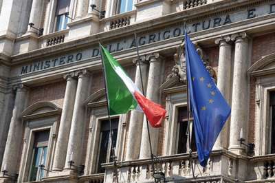 462 a tempo indeterminato al ministero dell&rsquo;Agricoltura con diploma o laurea