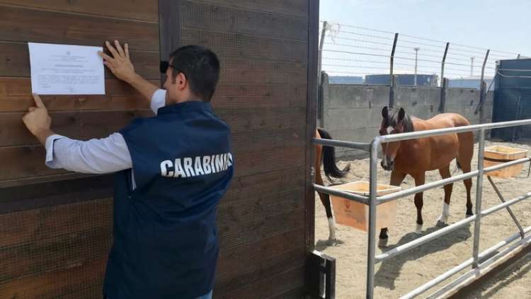 3 addetti alla pulizia box cavalli per caserma dei carabinieri di Roma