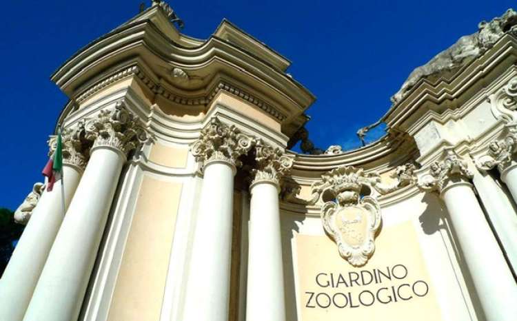 Il Bioparco di Roma cerca personale