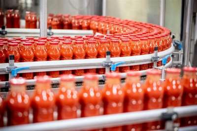 Centinaia al servizio di Mutti per la trasformazione del pomodoro